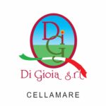 12 – di gioia